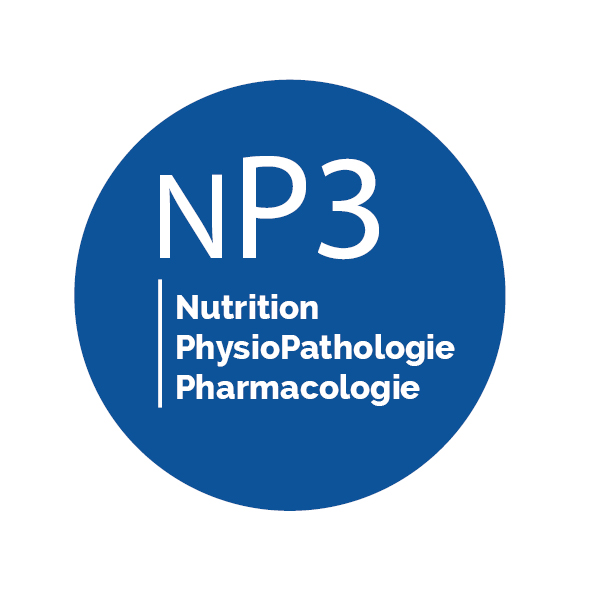 logo np3