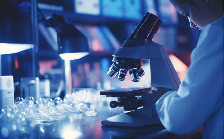 cursus master et doctorat micas