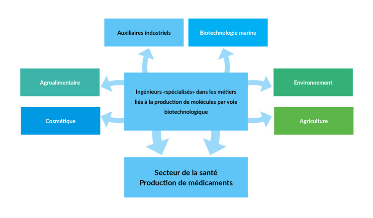 Approfondissement Bio Productions Biotechnologies Oniris Nantes