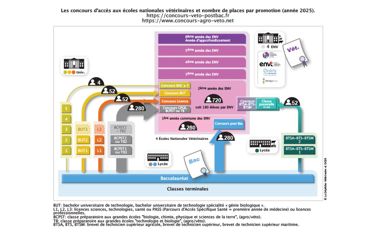Voies d'accès formation vétérinaire Oniris