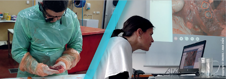 chaires entreprises oniris