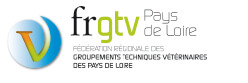 frgtv logo 