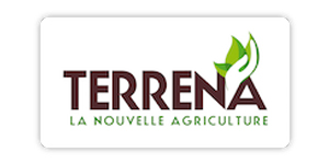 terrena