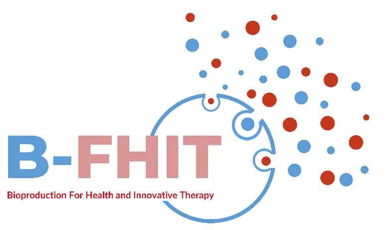logo b-fhit