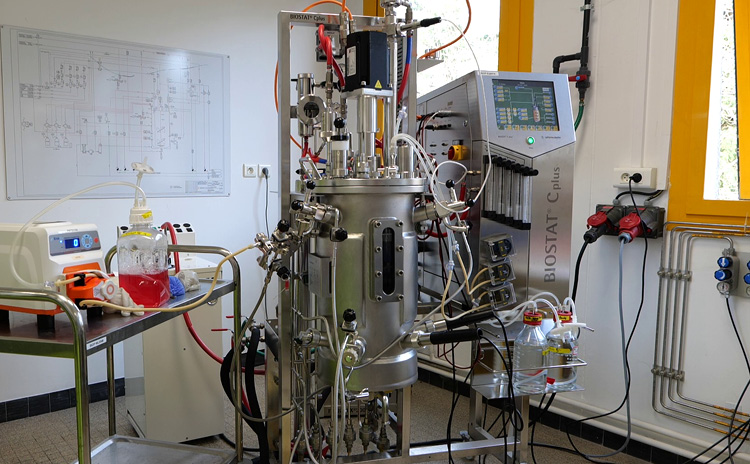 bioreacteur