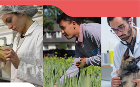 webinaire information écoles agronomiques et vétérinaires